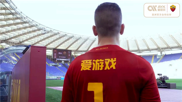 内专家对于