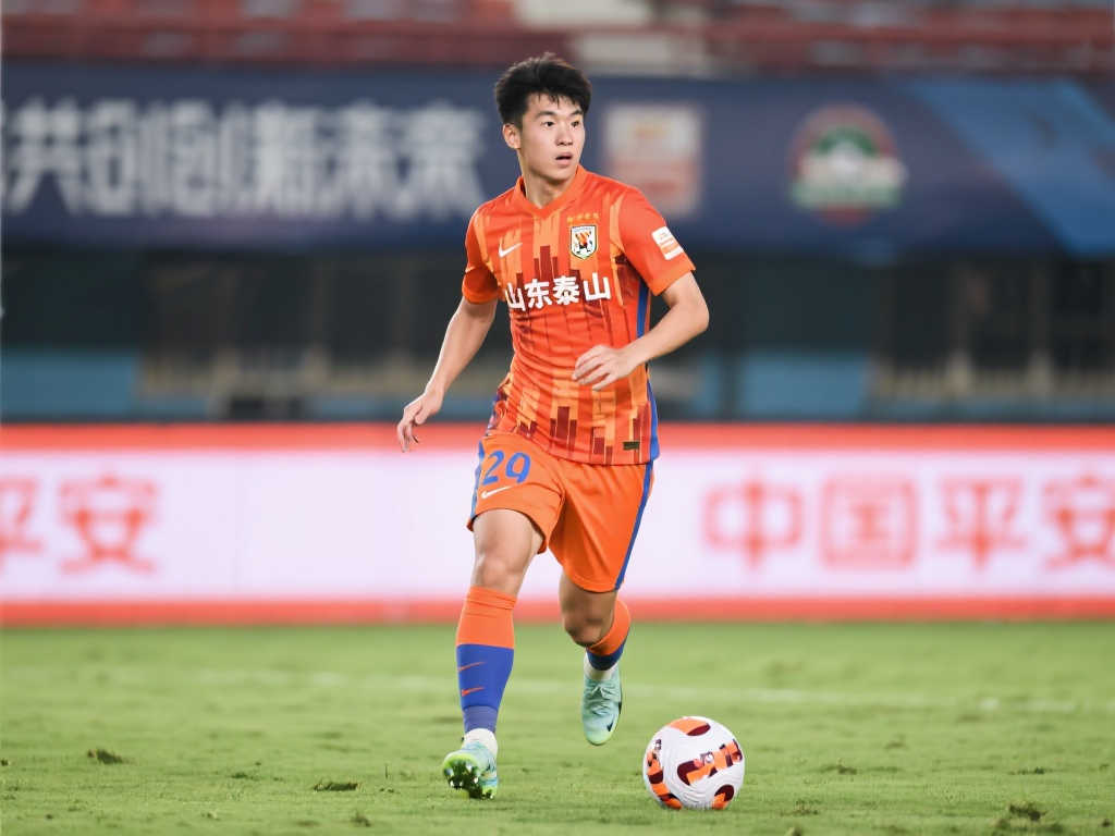 成功先例 成功先例